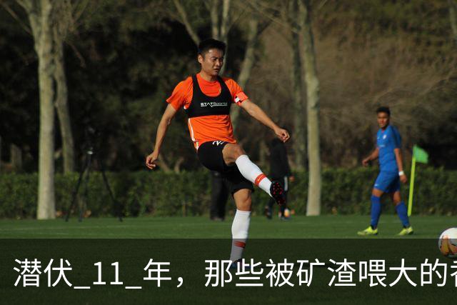 潜伏 11 年，那些被矿渣喂大的香蕉，终于开始向人类“复仇”了